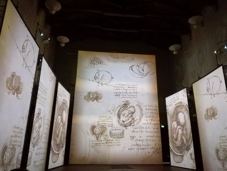 Leonardo da Vinci em Florença com guia brasileira